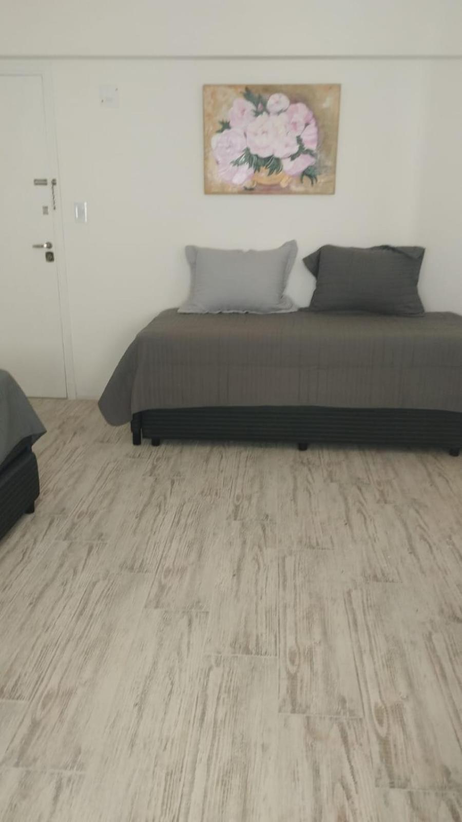 Apartment Palacio Brown *